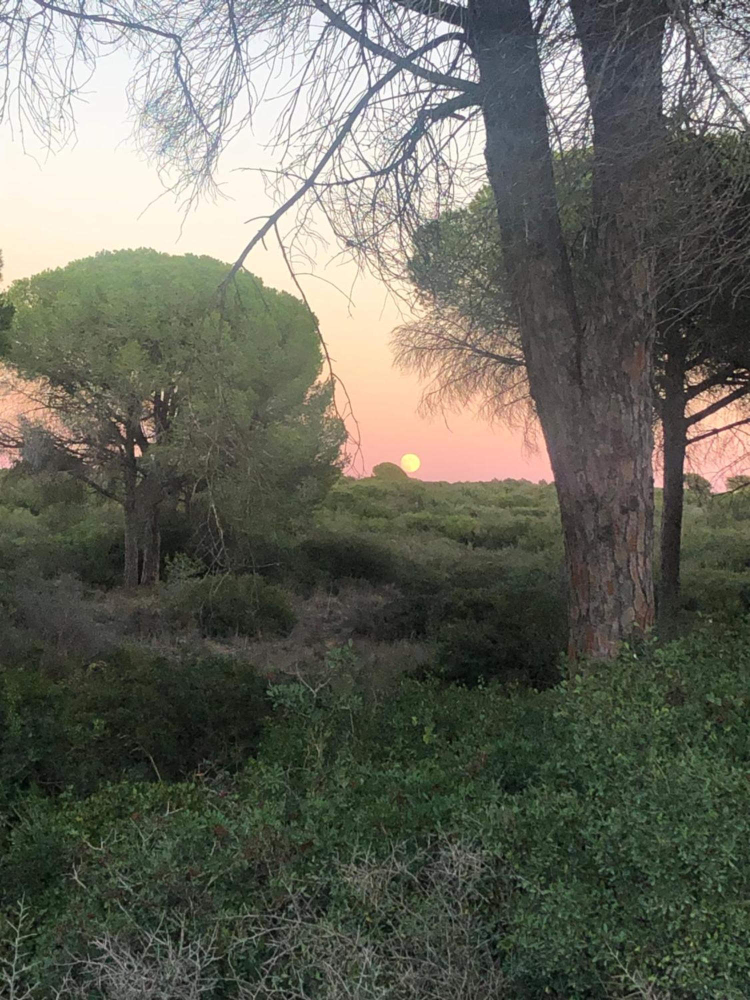 Casa Rural Los Pepe Sancti Petri Chiclana de la Frontera Exteriér fotografie